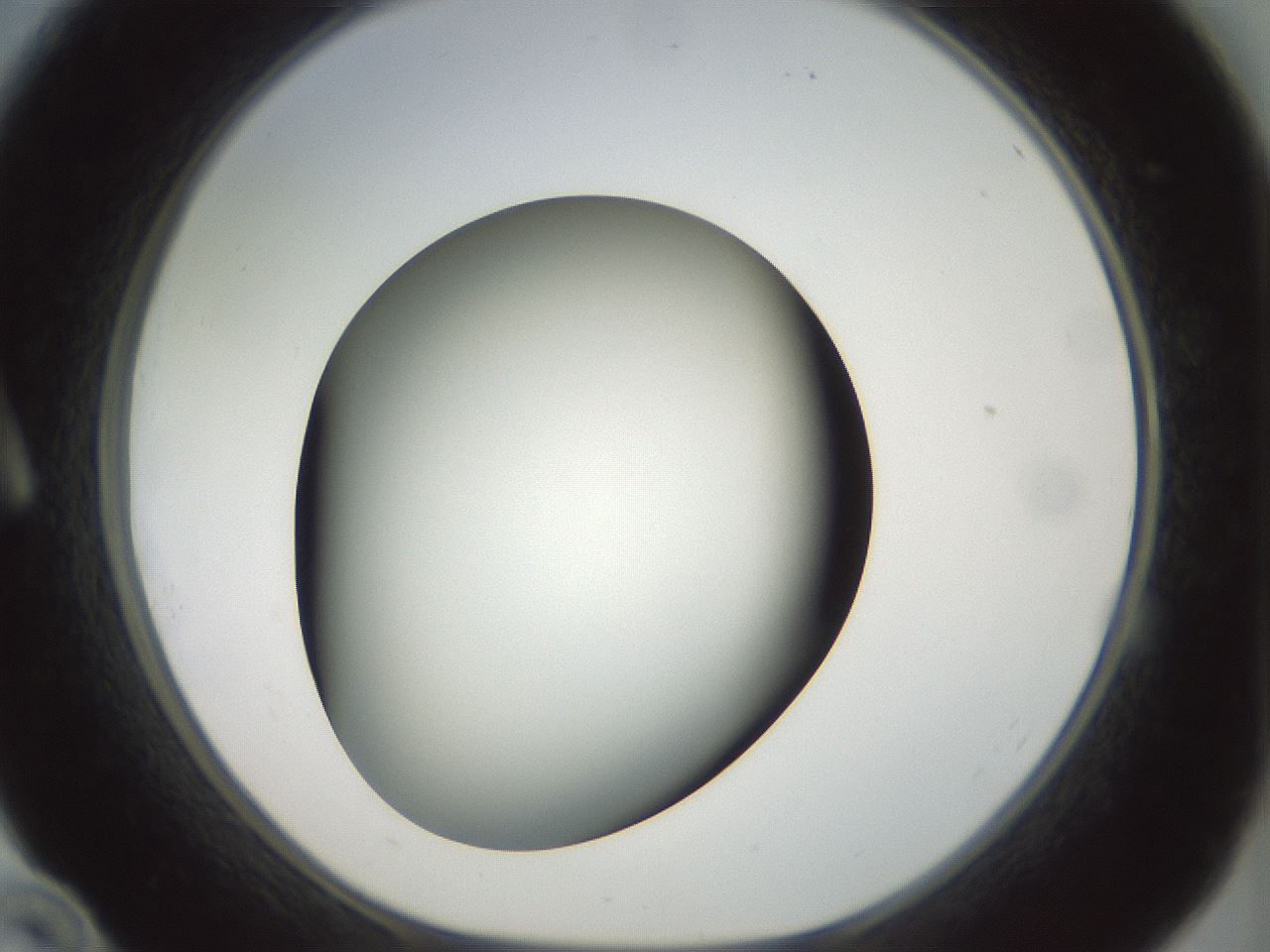 folderID300_plateID1300_batchID4268_wellNum10_profileID1_d1_r78689_ef.jpg