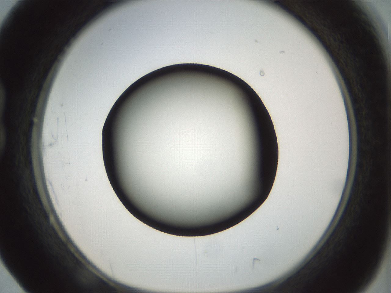 folderID300_plateID1300_batchID4268_wellNum17_profileID1_d1_r78696_ef.jpg