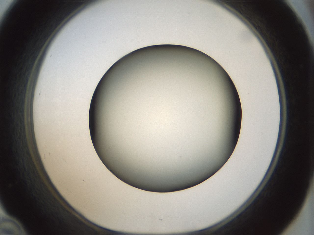 folderID300_plateID1300_batchID4268_wellNum46_profileID1_d1_r78725_ef.jpg