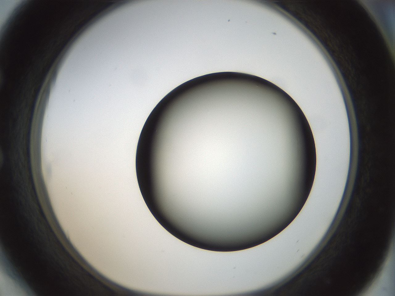 folderID300_plateID1300_batchID4268_wellNum54_profileID1_d1_r78733_ef.jpg