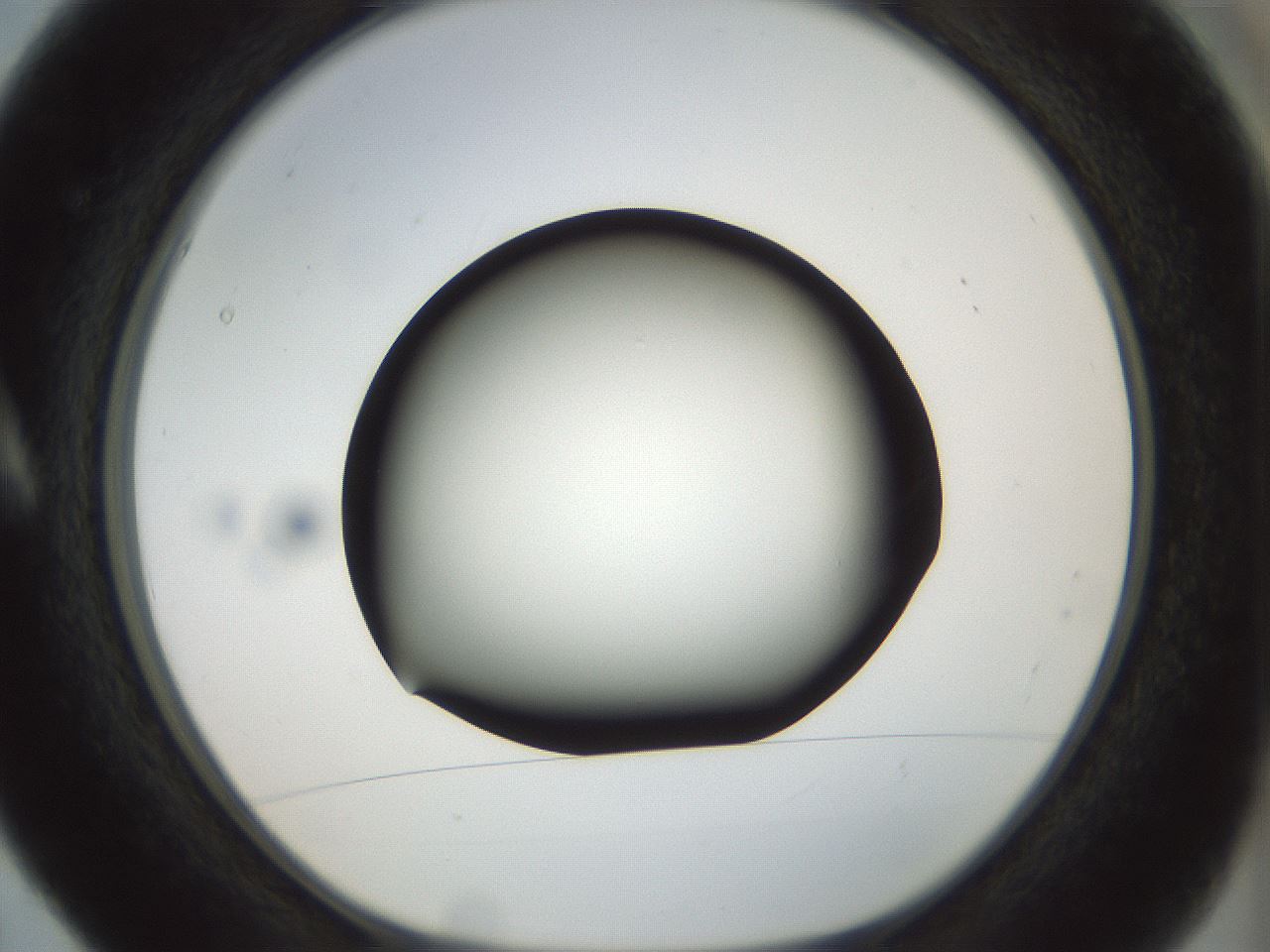 folderID300_plateID1300_batchID4268_wellNum5_profileID1_d1_r78684_ef.jpg