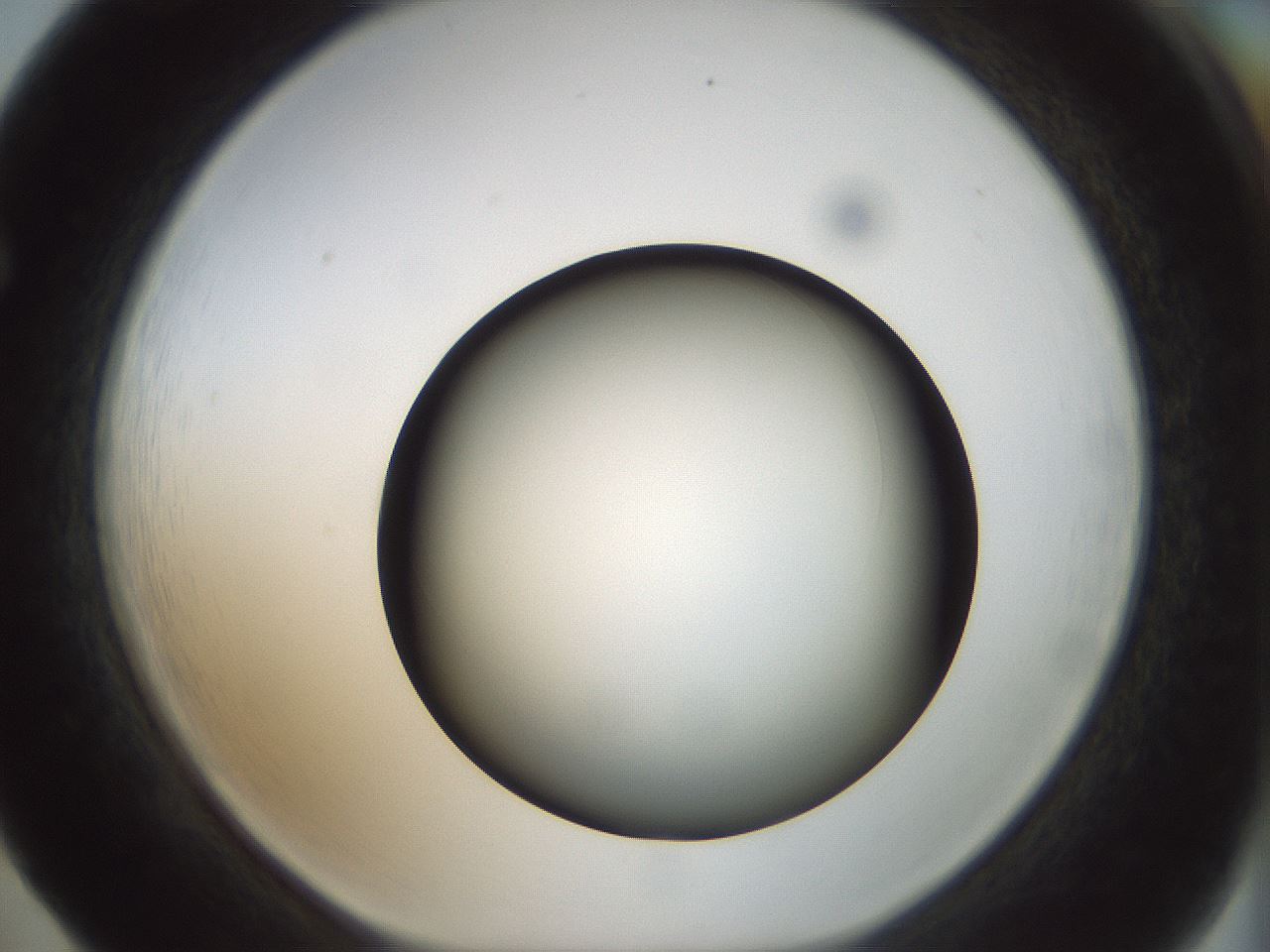 folderID300_plateID1300_batchID4268_wellNum65_profileID1_d1_r78744_ef.jpg