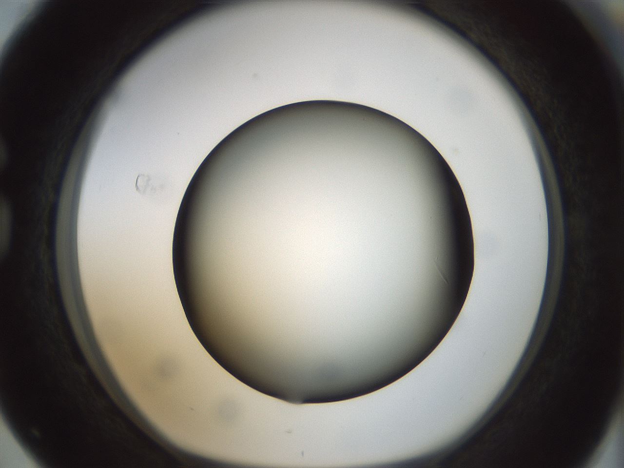 folderID300_plateID1300_batchID4268_wellNum76_profileID1_d1_r78755_ef.jpg