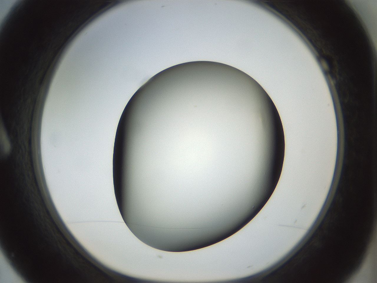 folderID300_plateID1300_batchID4268_wellNum7_profileID1_d1_r78686_ef.jpg