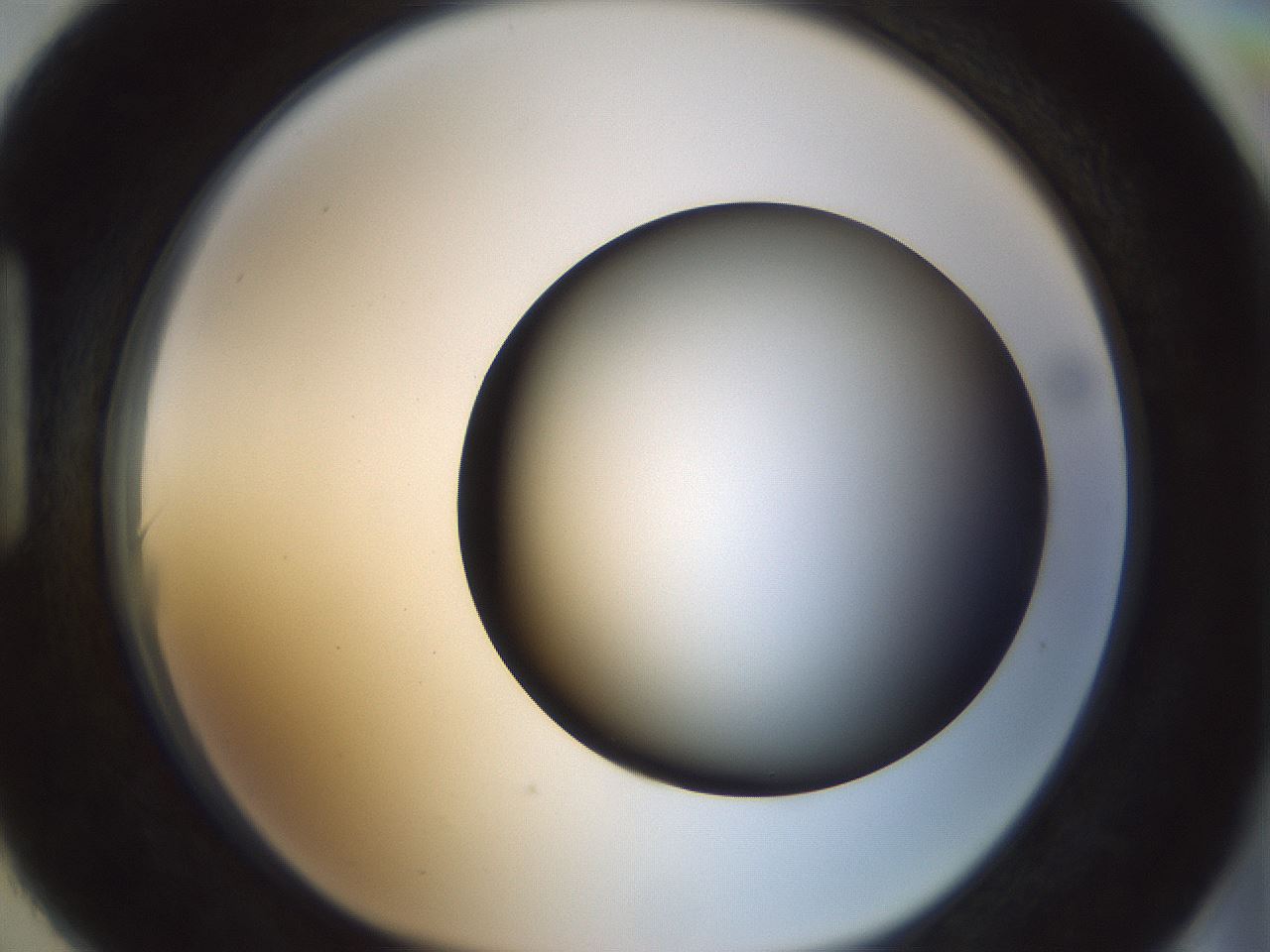folderID300_plateID1300_batchID4268_wellNum90_profileID1_d1_r78769_ef.jpg