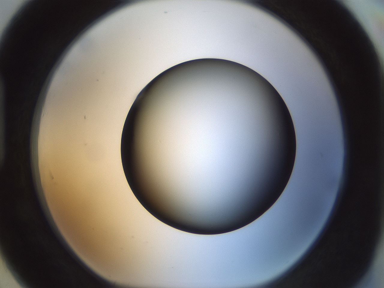 folderID300_plateID1300_batchID4268_wellNum91_profileID1_d1_r78770_ef.jpg