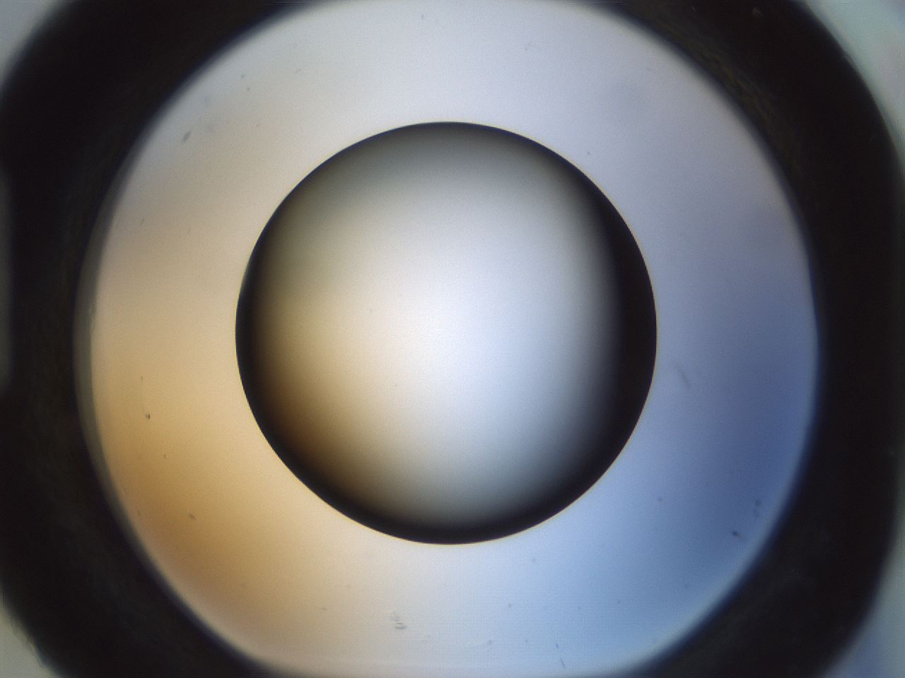 folderID300_plateID1300_batchID4268_wellNum92_profileID1_d1_r78771_ef.jpg