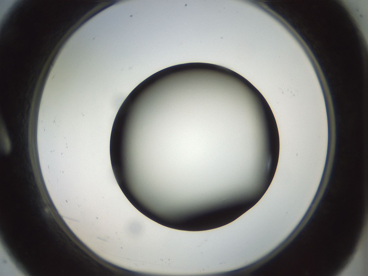 folderID300_plateID1300_batchID4268_wellNum9_profileID1_d1_r78688_ef.jpg