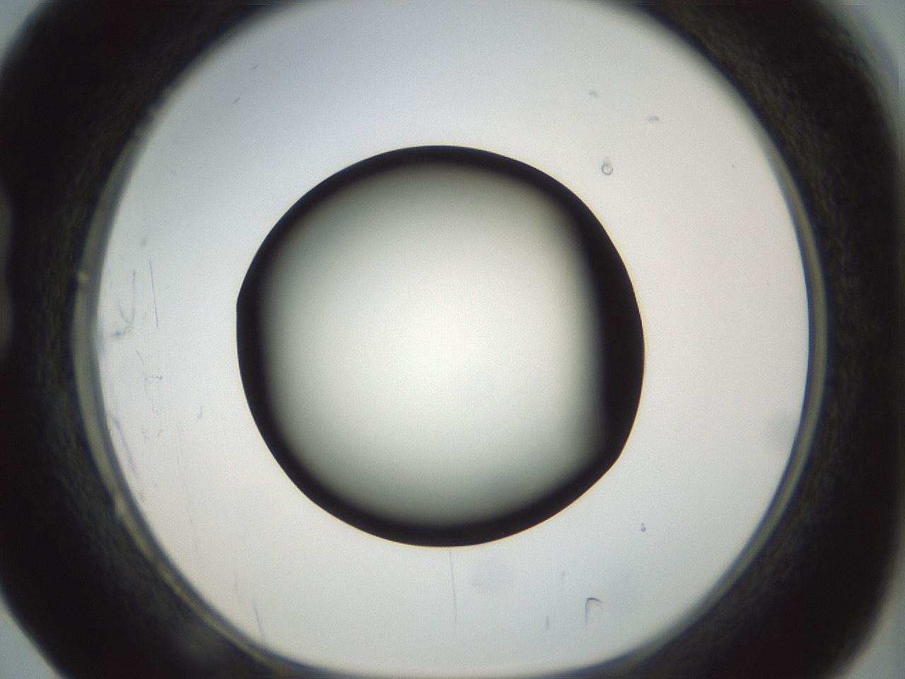 folderID300_plateID1300_batchID4305_wellNum17_profileID1_d1_r78696_ef.jpg