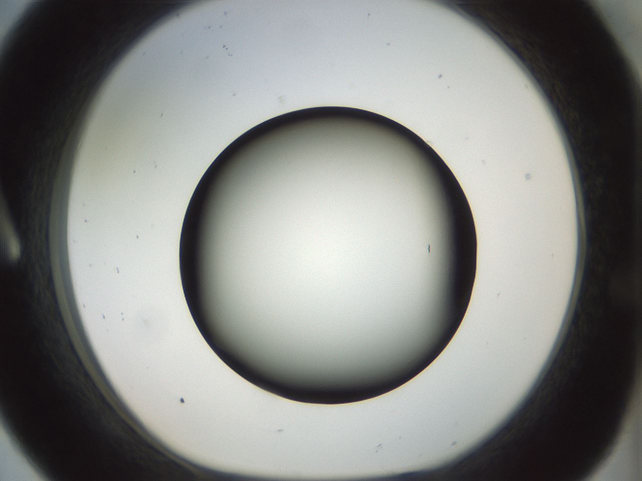 folderID300_plateID1300_batchID4268_wellNum8_profileID1_d1_r78687_ef.jpg