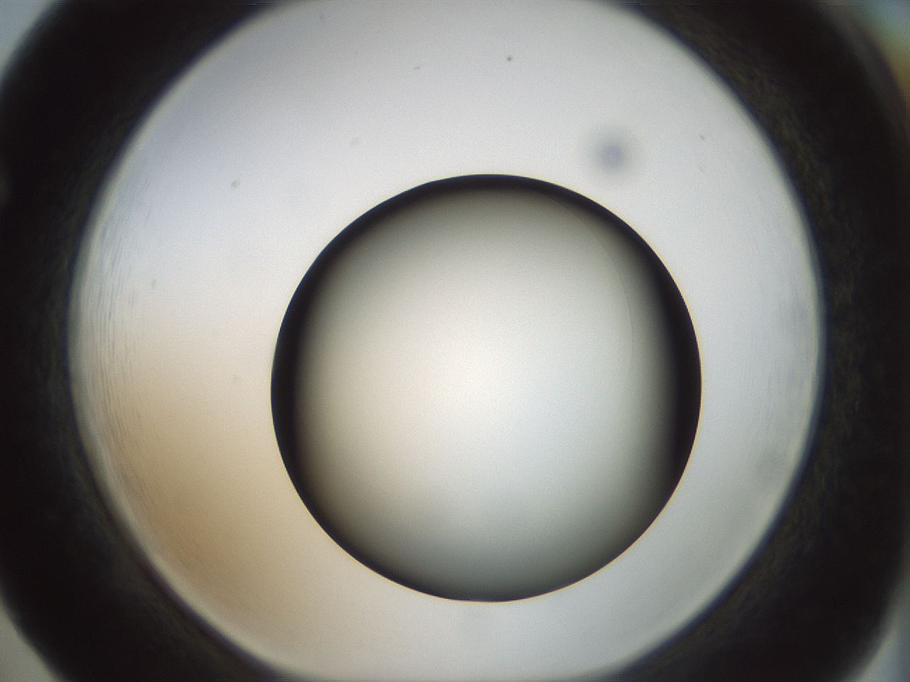 folderID300_plateID1300_batchID4305_wellNum65_profileID1_d1_r78744_ef.jpg