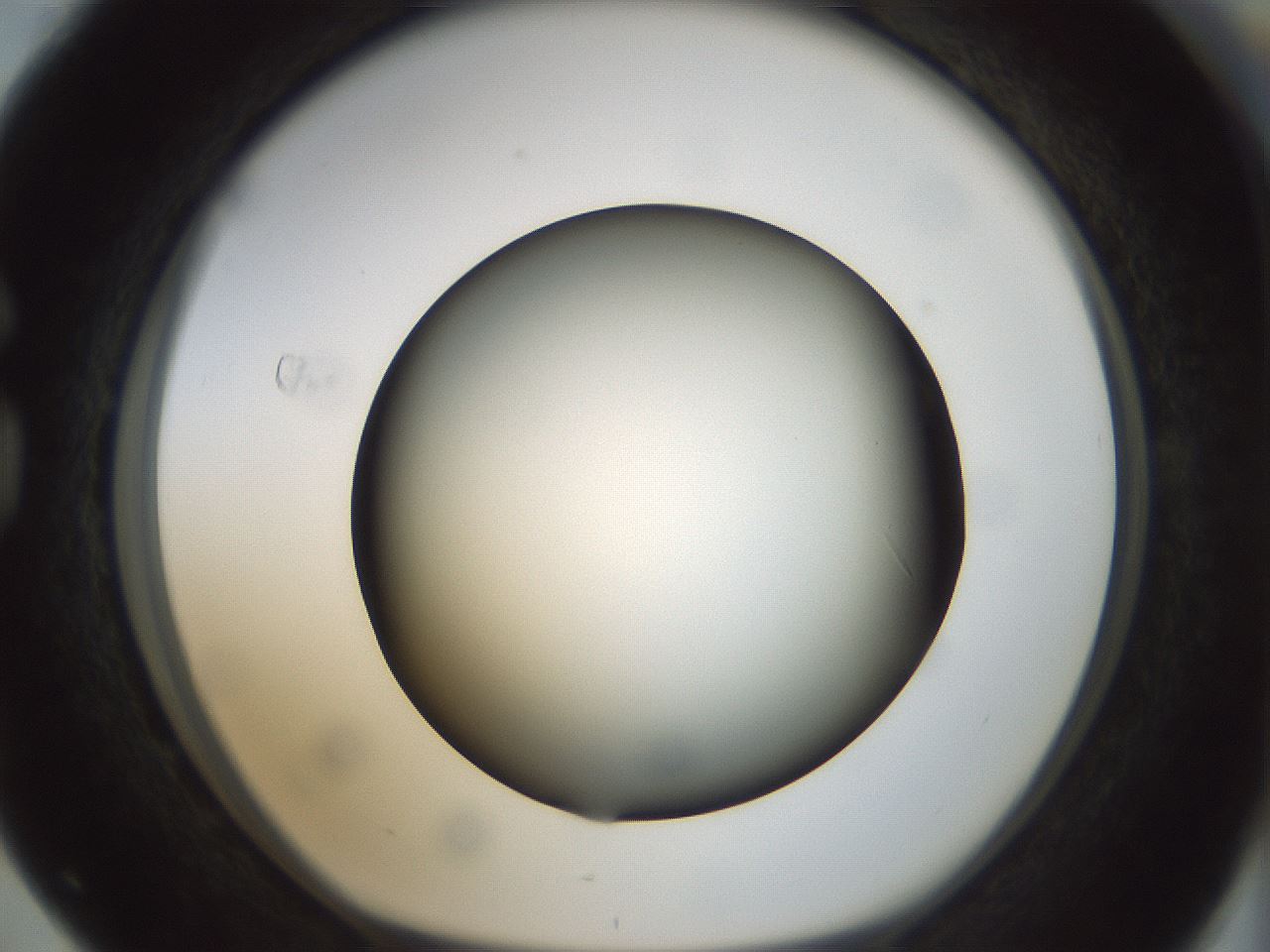 folderID300_plateID1300_batchID4305_wellNum76_profileID1_d1_r78755_ef.jpg