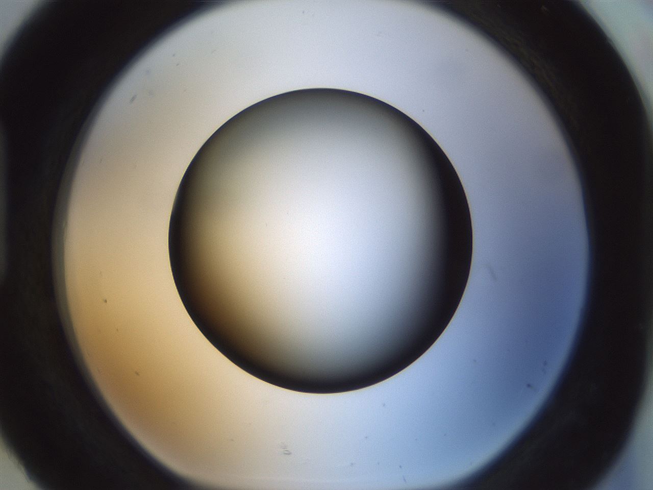 folderID300_plateID1300_batchID4305_wellNum92_profileID1_d1_r78771_ef.jpg