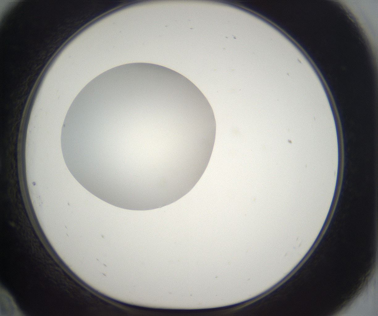 folderID300_plateID2300_batchID10854_wellNum10_profileID1_d1_r161623_ef.jpg
