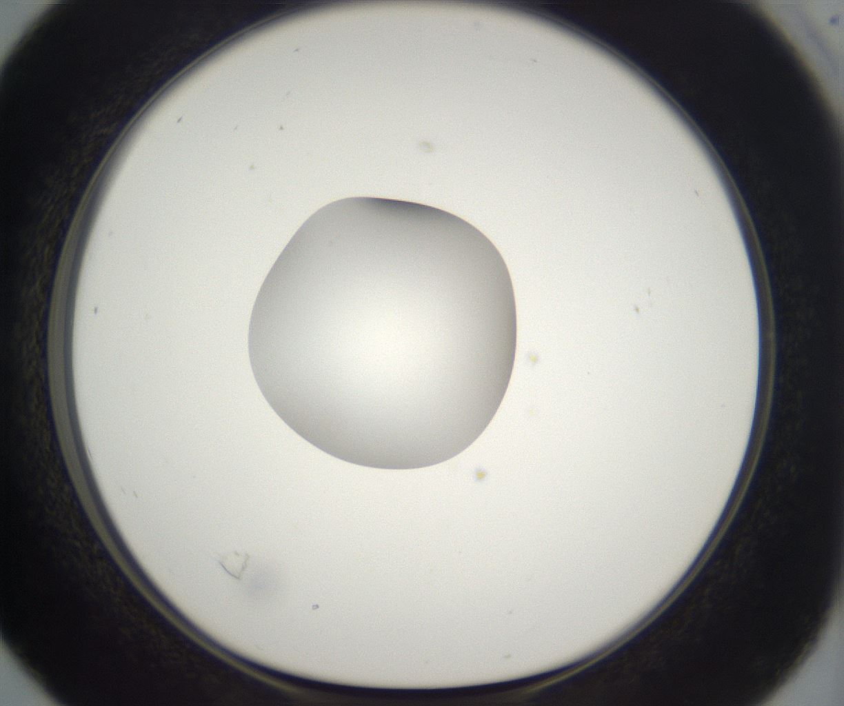 folderID300_plateID2300_batchID10854_wellNum16_profileID1_d1_r161629_ef.jpg