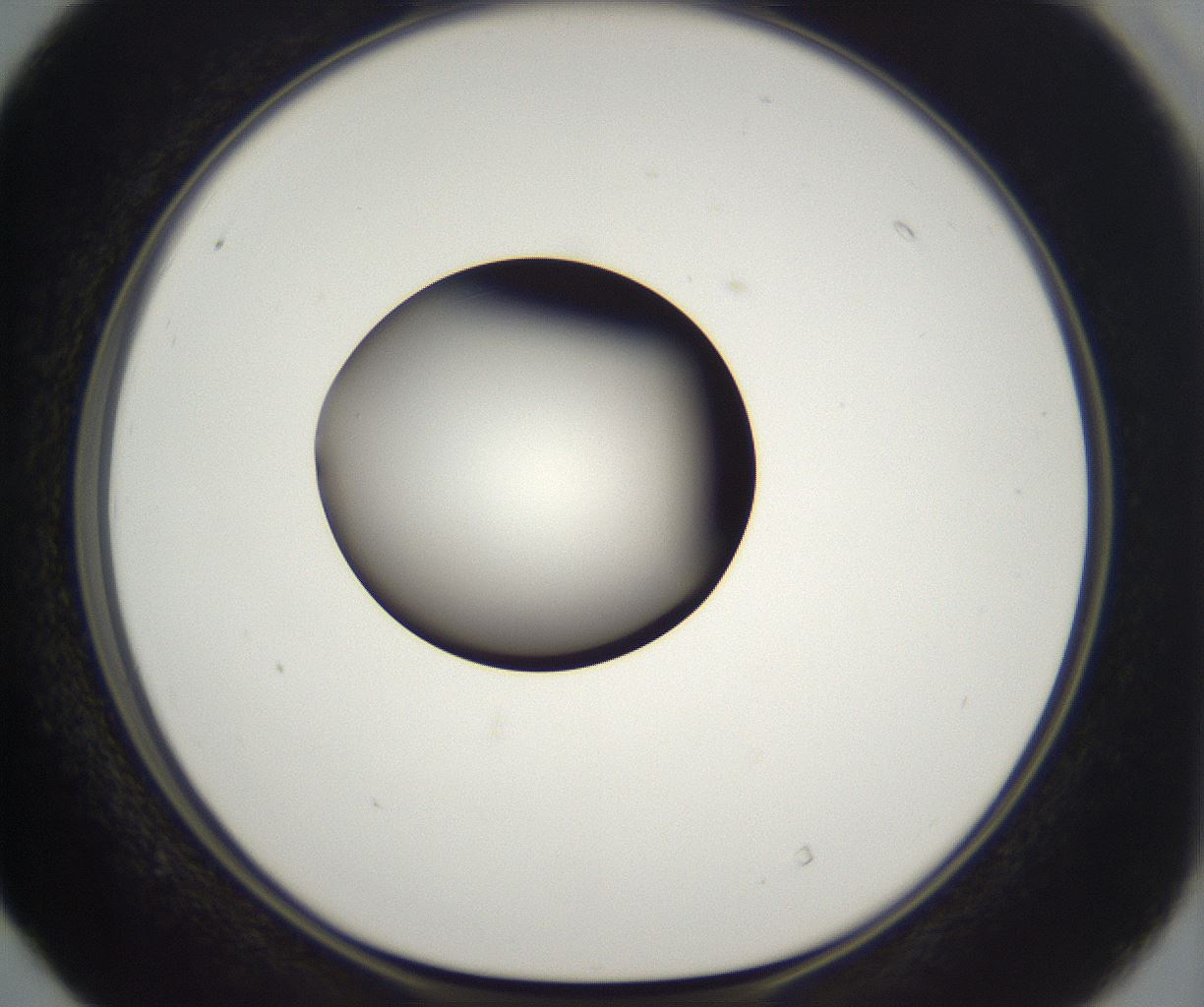 folderID300_plateID2300_batchID10854_wellNum40_profileID1_d1_r161653_ef.jpg