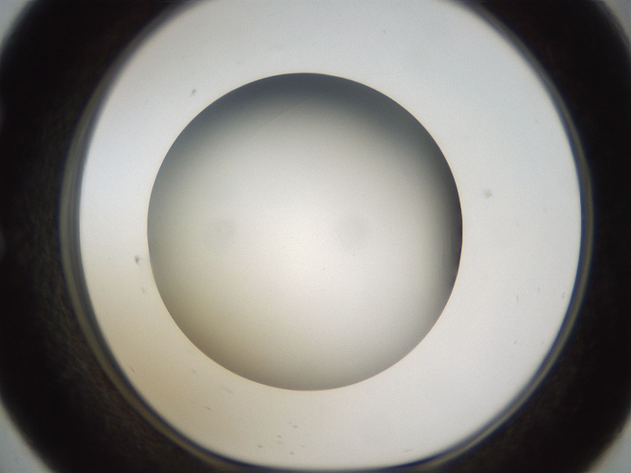 folderID301_plateID1301_batchID4294_wellNum57_profileID1_d1_r77968_ef.jpg