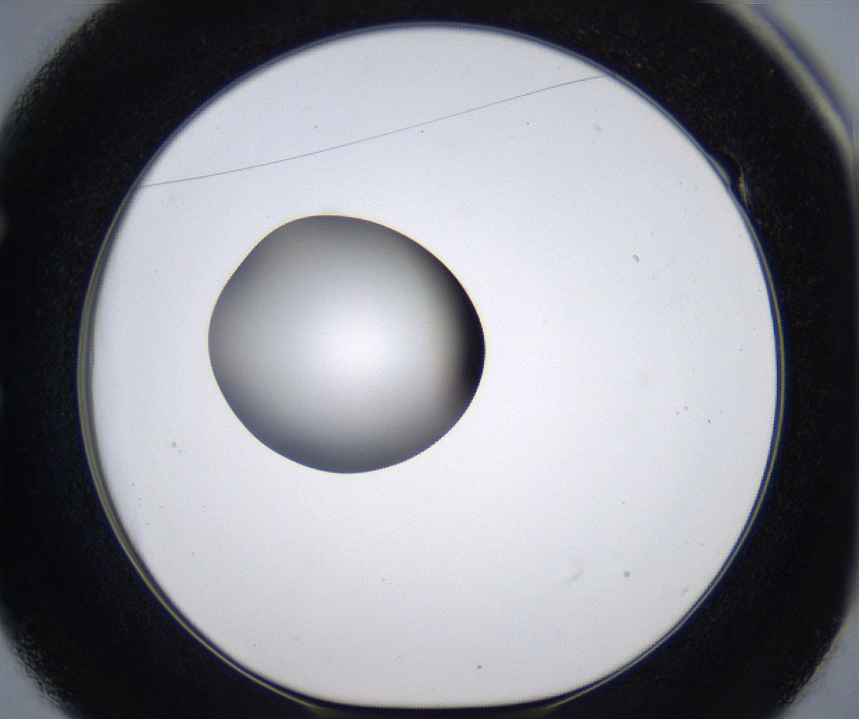 folderID301_plateID2301_batchID10847_wellNum49_profileID1_d1_r161086_ef.jpg
