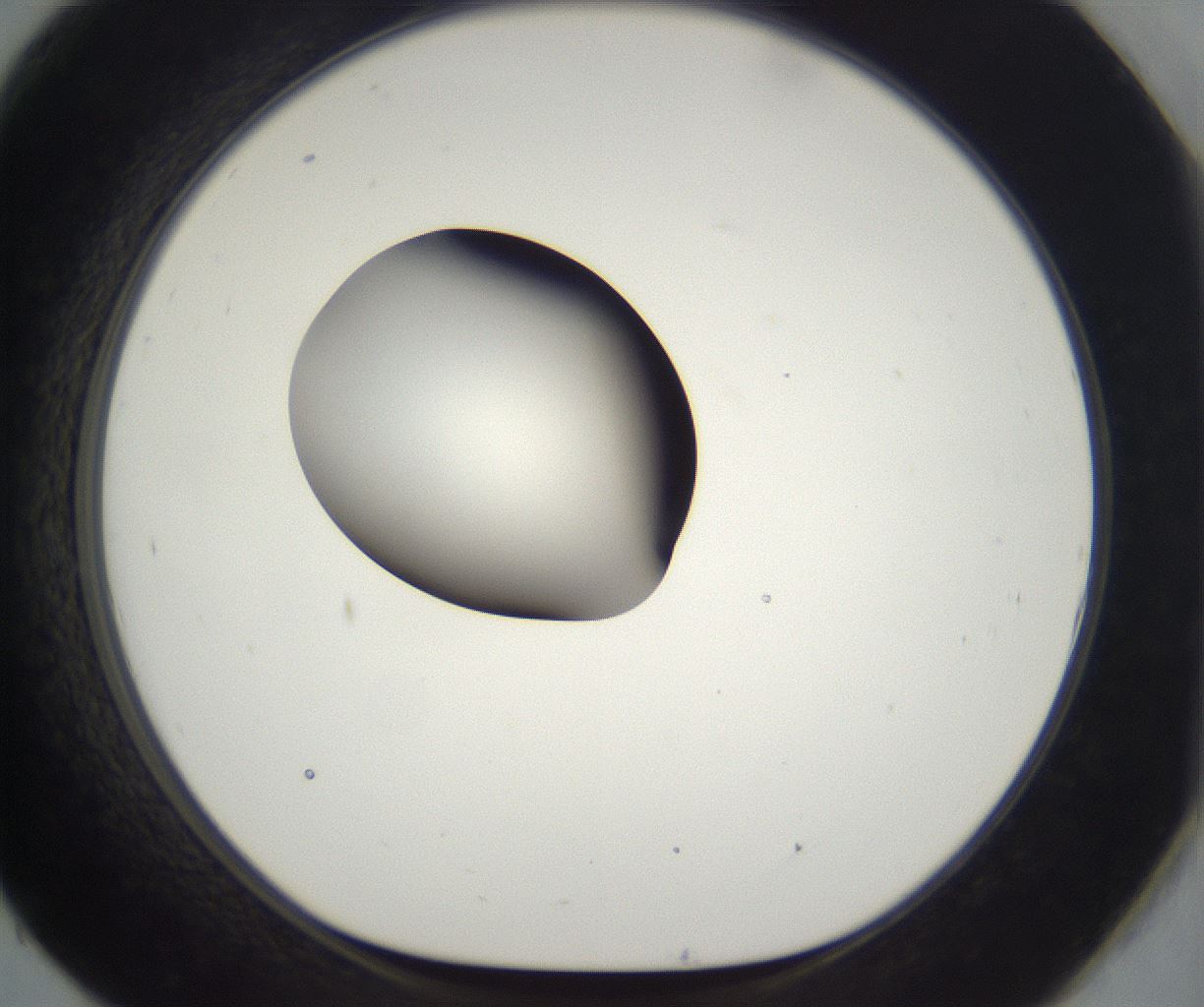folderID302_plateID2302_batchID10855_wellNum93_profileID1_d1_r161802_ef.jpg