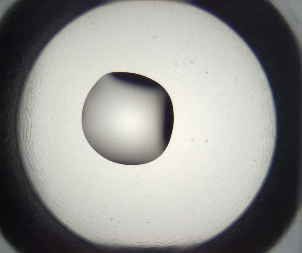 folderID300_plateID2300_batchID10854_wellNum20_profileID1_d1_r161633_ef.jpg