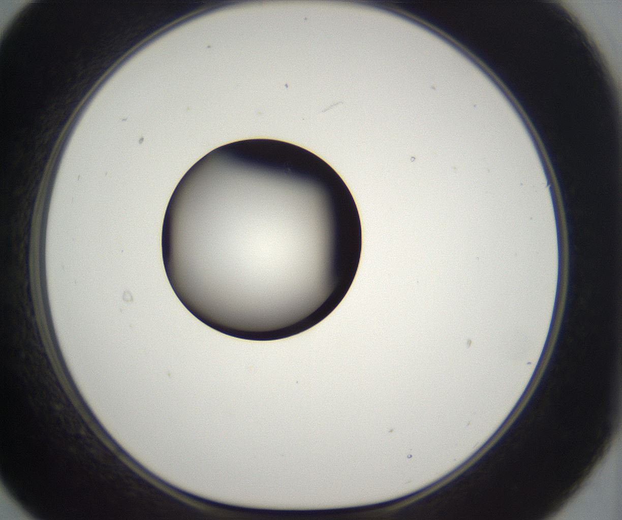 folderID300_plateID2300_batchID10854_wellNum21_profileID1_d1_r161634_ef.jpg