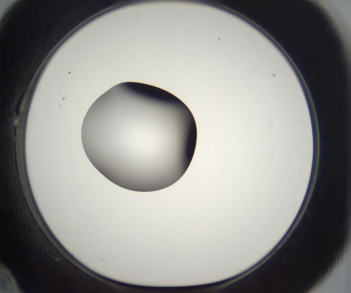 folderID300_plateID2300_batchID10854_wellNum22_profileID1_d1_r161635_ef.jpg