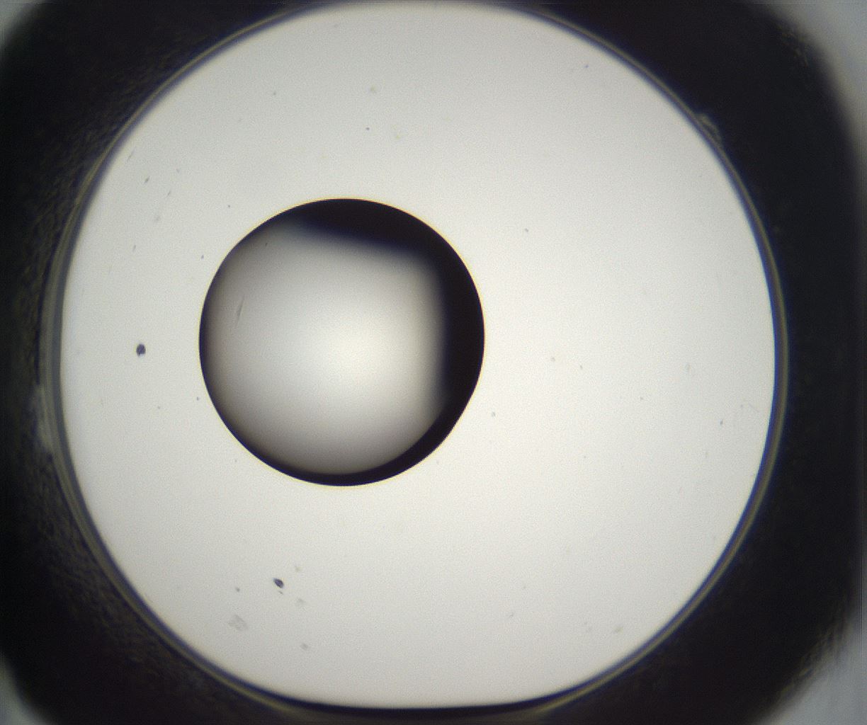 folderID300_plateID2300_batchID10854_wellNum23_profileID1_d1_r161636_ef.jpg