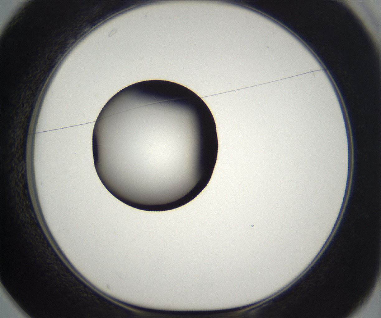folderID300_plateID2300_batchID10854_wellNum25_profileID1_d1_r161638_ef.jpg