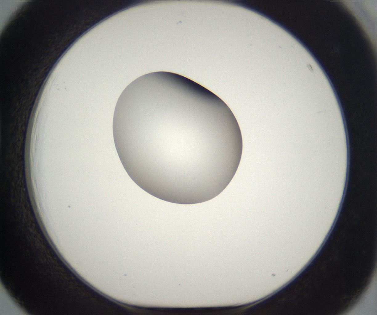 folderID300_plateID2300_batchID10854_wellNum39_profileID1_d1_r161652_ef.jpg
