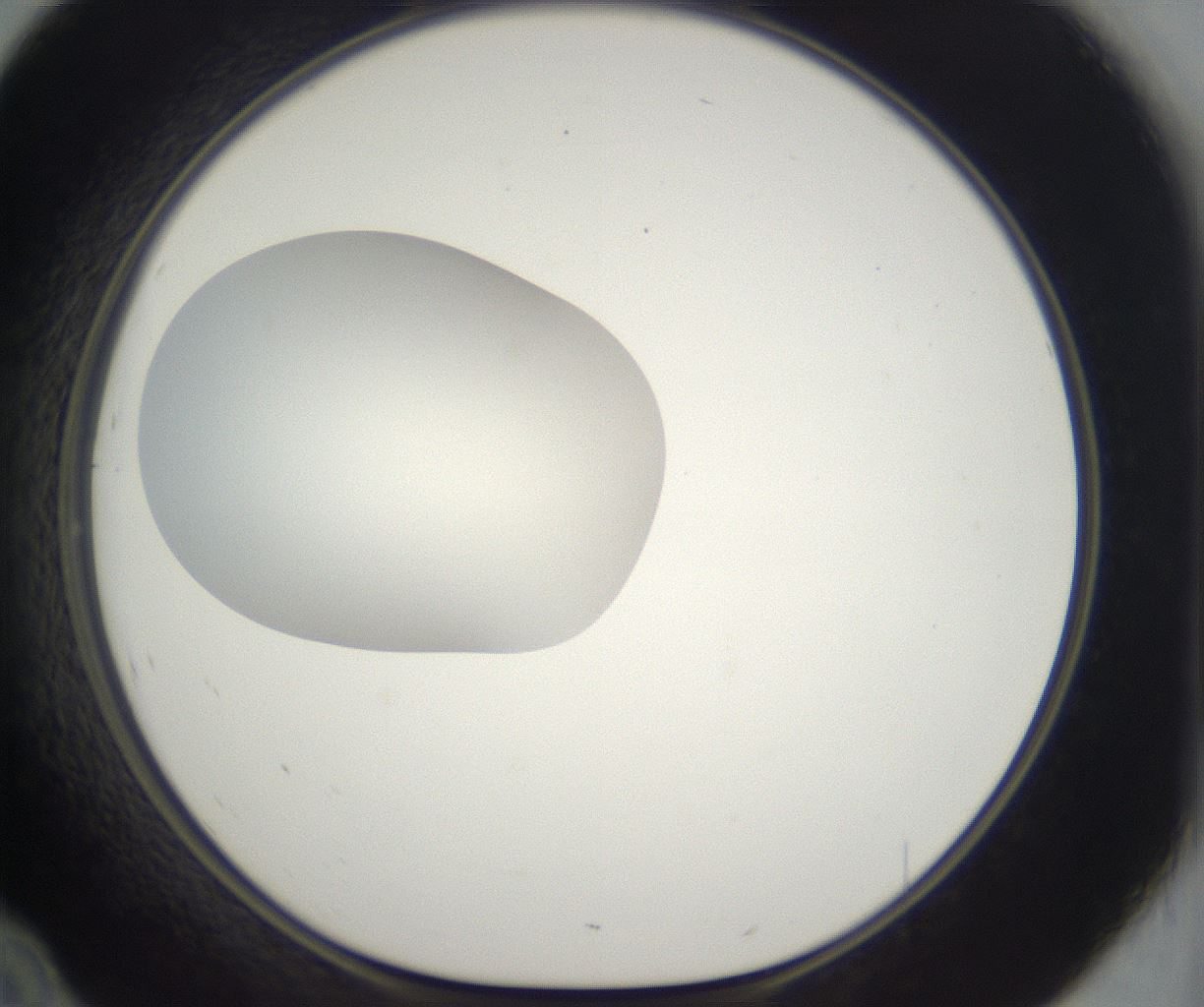 folderID300_plateID2300_batchID10854_wellNum46_profileID1_d1_r161659_ef.jpg