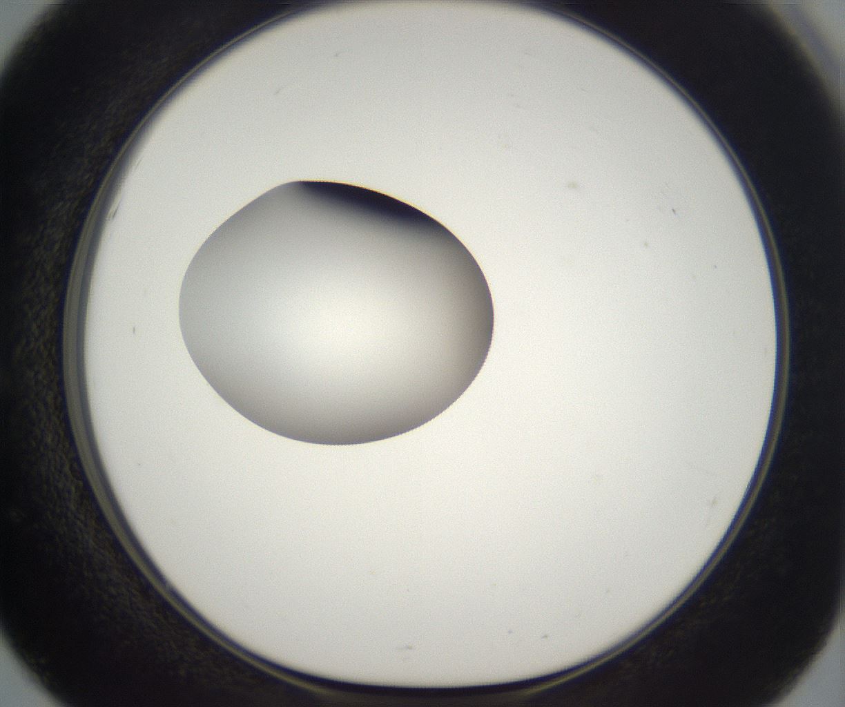 folderID300_plateID2300_batchID10854_wellNum51_profileID1_d1_r161664_ef.jpg