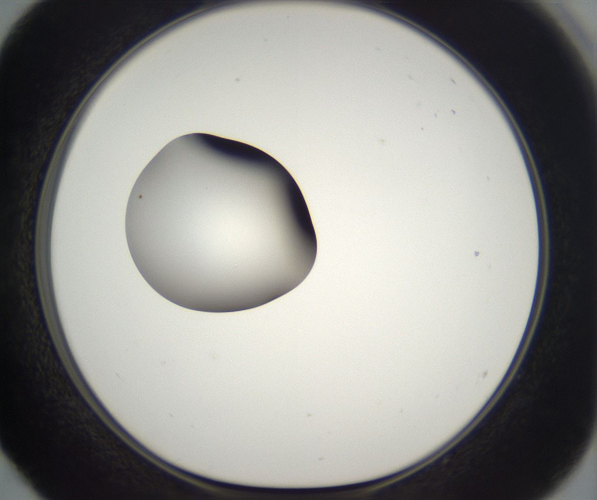 folderID300_plateID2300_batchID10854_wellNum52_profileID1_d1_r161665_ef.jpg