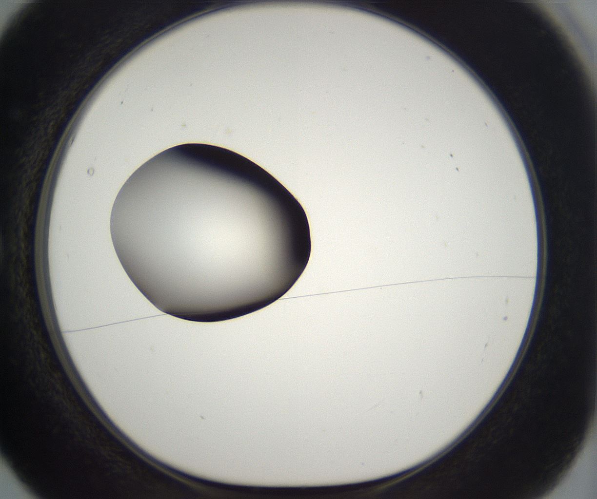 folderID300_plateID2300_batchID10854_wellNum5_profileID1_d1_r161618_ef.jpg