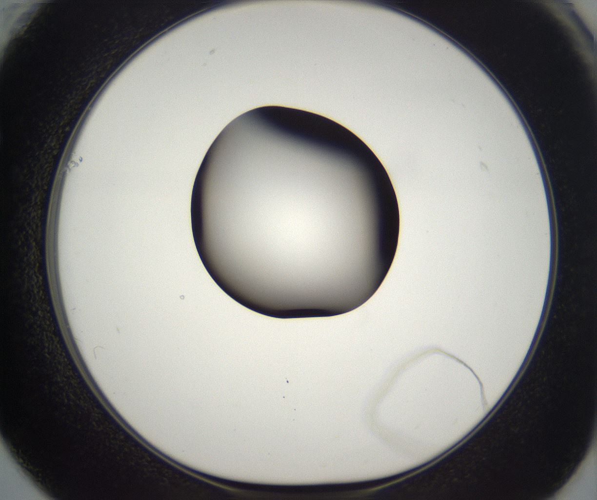 folderID300_plateID2300_batchID10854_wellNum61_profileID1_d1_r161674_ef.jpg