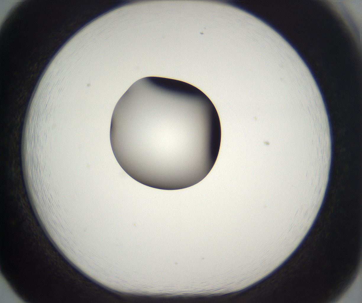 folderID300_plateID2300_batchID10854_wellNum65_profileID1_d1_r161678_ef.jpg