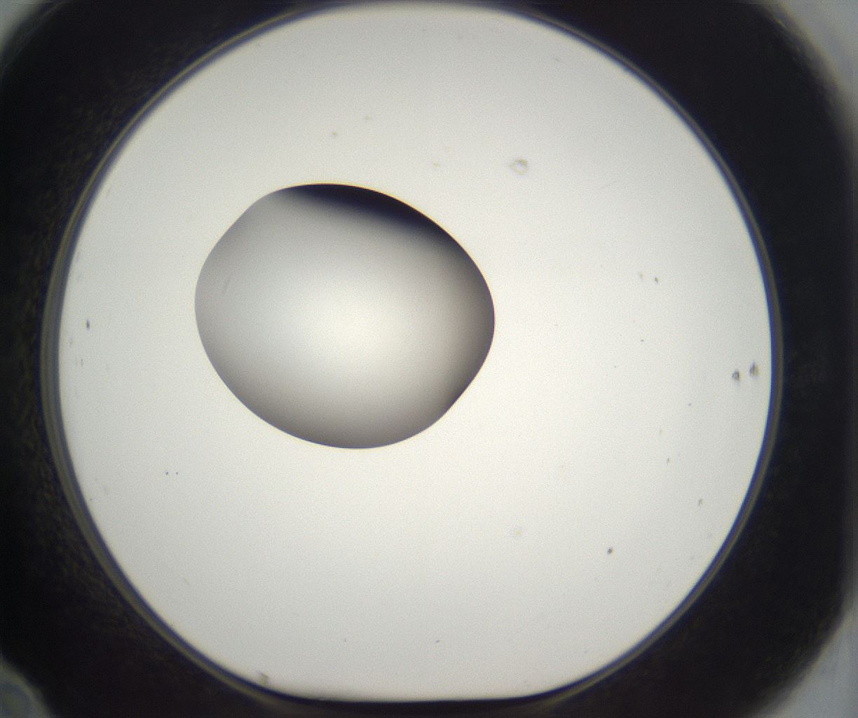 folderID300_plateID2300_batchID10854_wellNum70_profileID1_d1_r161683_ef.jpg