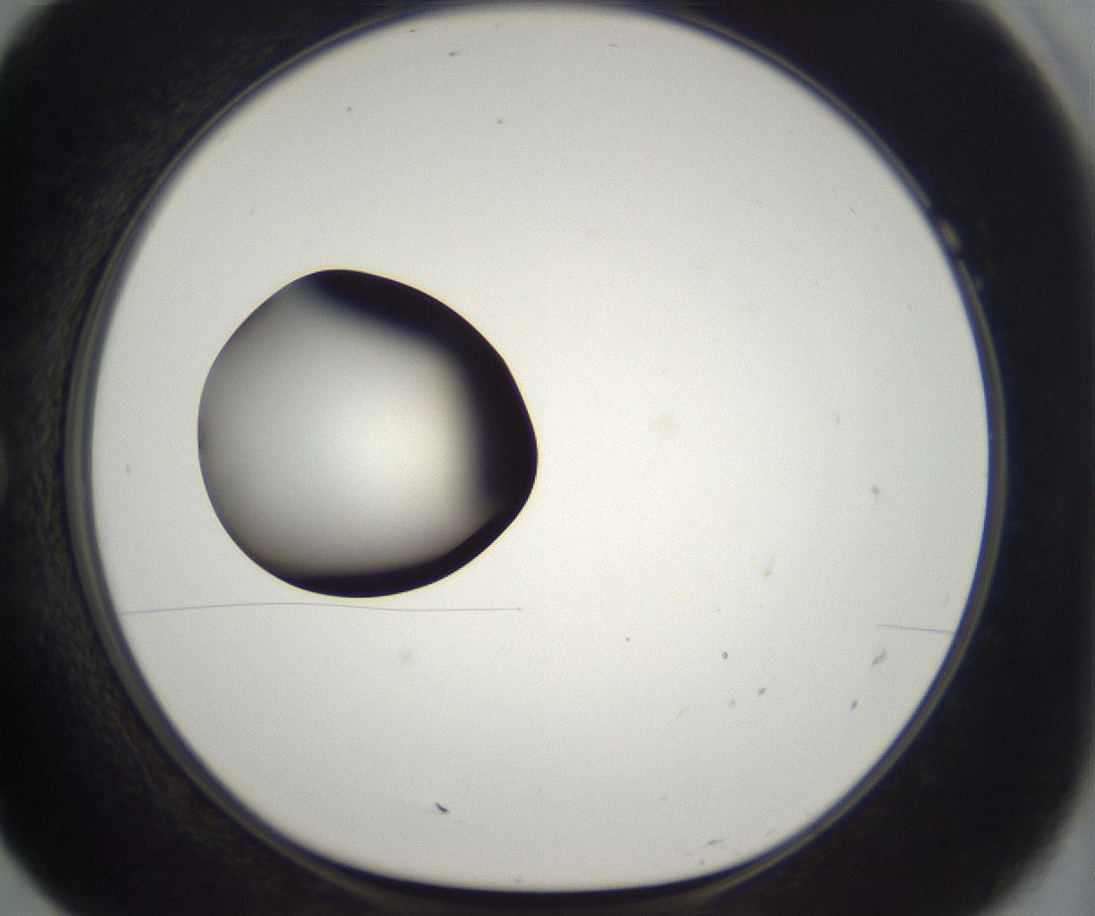 folderID300_plateID2300_batchID10854_wellNum7_profileID1_d1_r161620_ef.jpg
