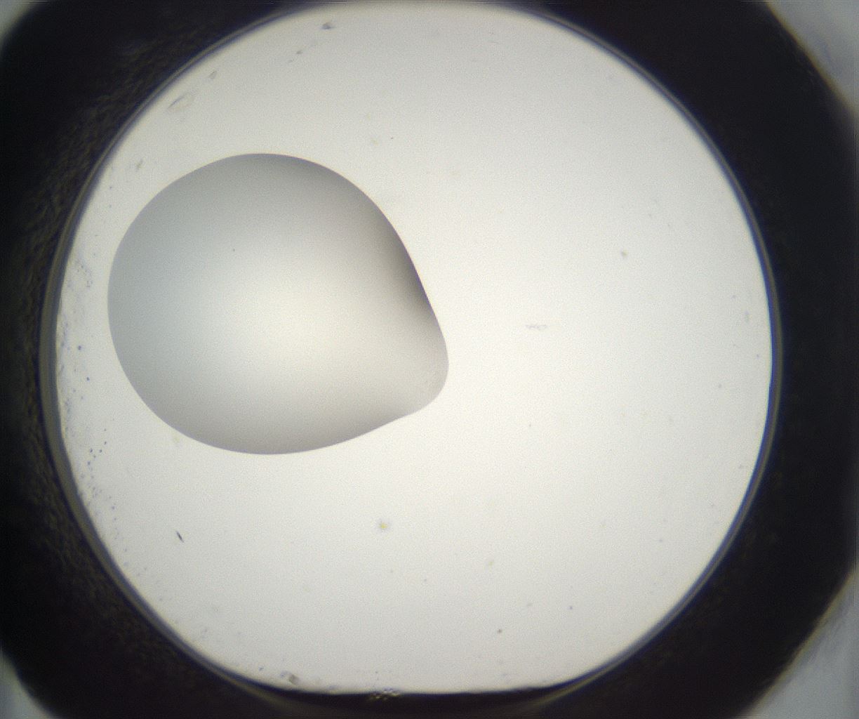 folderID300_plateID2300_batchID10854_wellNum83_profileID1_d1_r161696_ef.jpg
