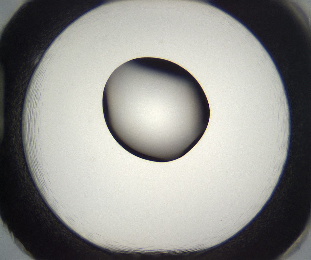 folderID300_plateID2300_batchID10854_wellNum86_profileID1_d1_r161699_ef.jpg