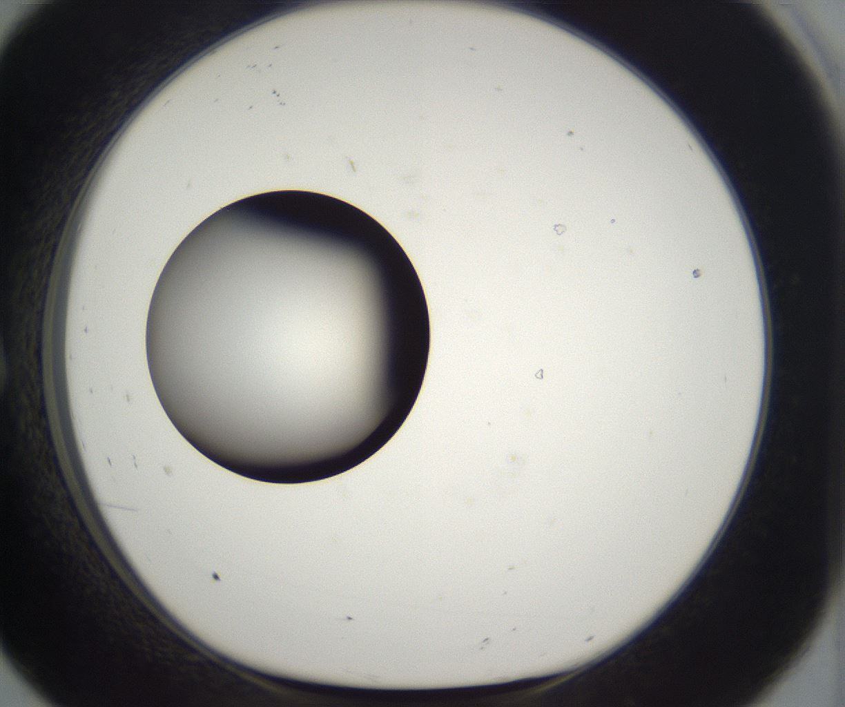 folderID300_plateID2300_batchID10854_wellNum8_profileID1_d1_r161621_ef.jpg