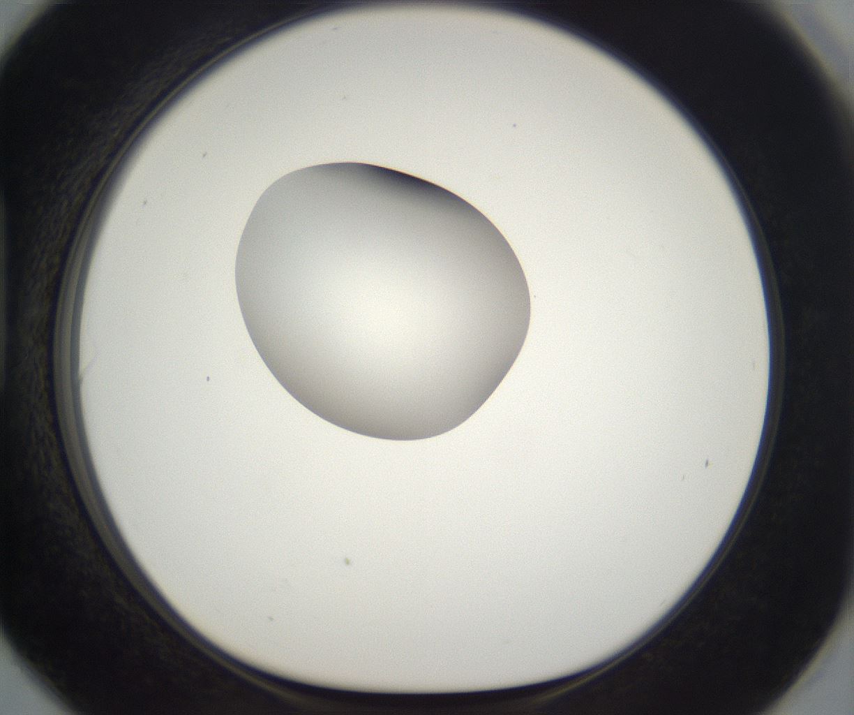 folderID300_plateID2300_batchID10854_wellNum90_profileID1_d1_r161703_ef.jpg