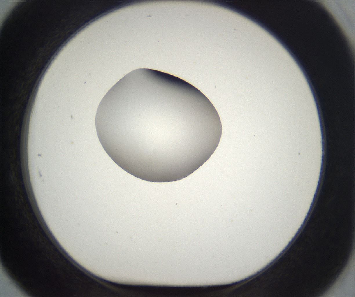 folderID300_plateID2300_batchID10854_wellNum91_profileID1_d1_r161704_ef.jpg