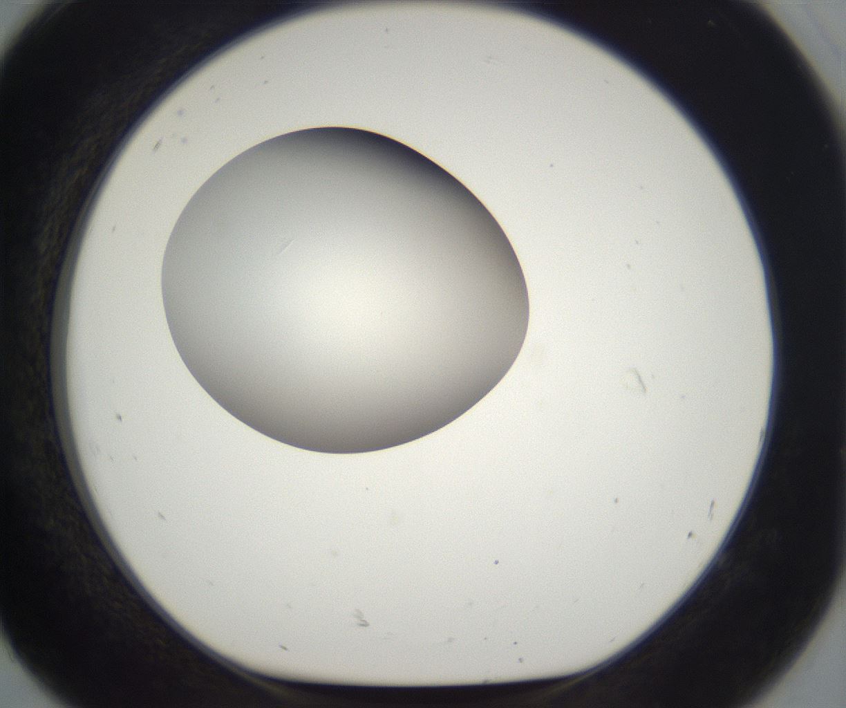 folderID300_plateID2300_batchID10854_wellNum92_profileID1_d1_r161705_ef.jpg
