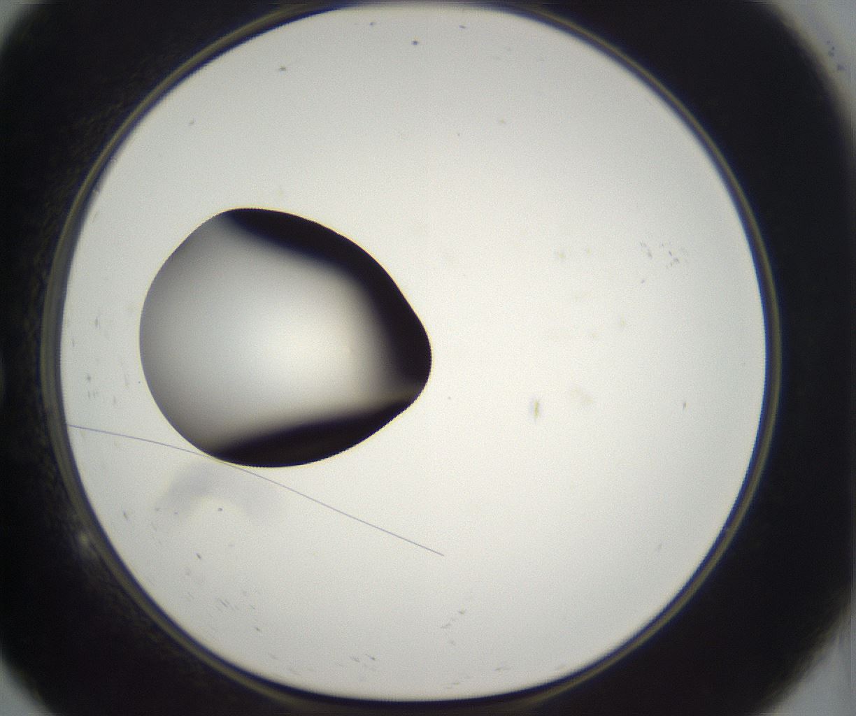 folderID300_plateID2300_batchID10854_wellNum9_profileID1_d1_r161622_ef.jpg