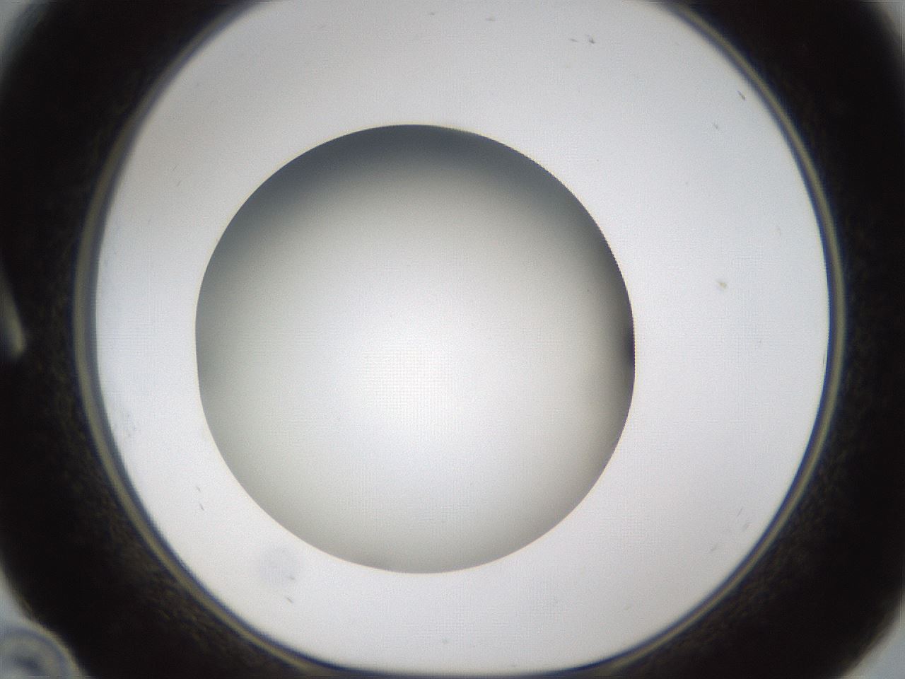 folderID301_plateID1301_batchID4294_wellNum10_profileID1_d1_r77921_ef.jpg