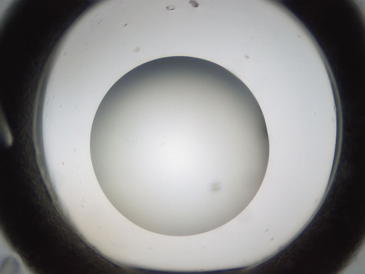 folderID301_plateID1301_batchID4294_wellNum11_profileID1_d1_r77922_ef.jpg