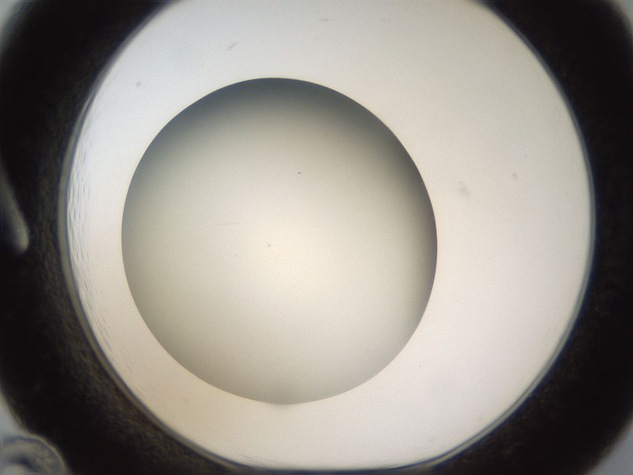 folderID301_plateID1301_batchID4294_wellNum12_profileID1_d1_r77923_ef.jpg