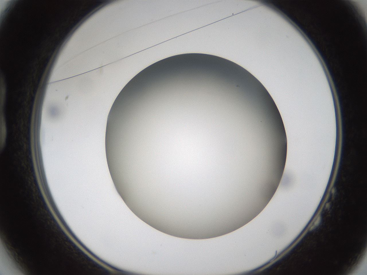 folderID301_plateID1301_batchID4294_wellNum14_profileID1_d1_r77925_ef.jpg