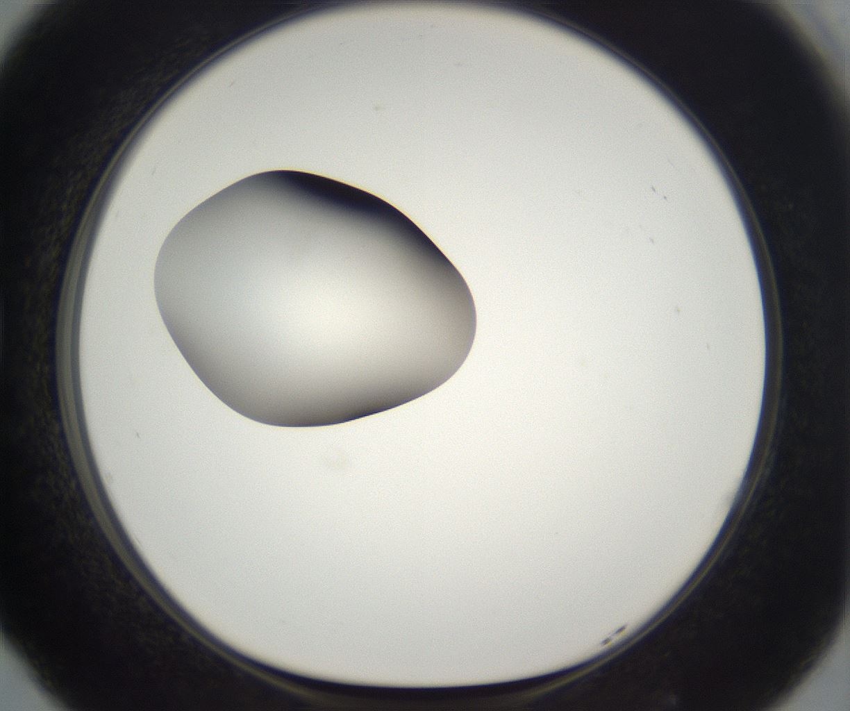 folderID300_plateID2300_batchID10854_wellNum77_profileID1_d1_r161690_ef.jpg