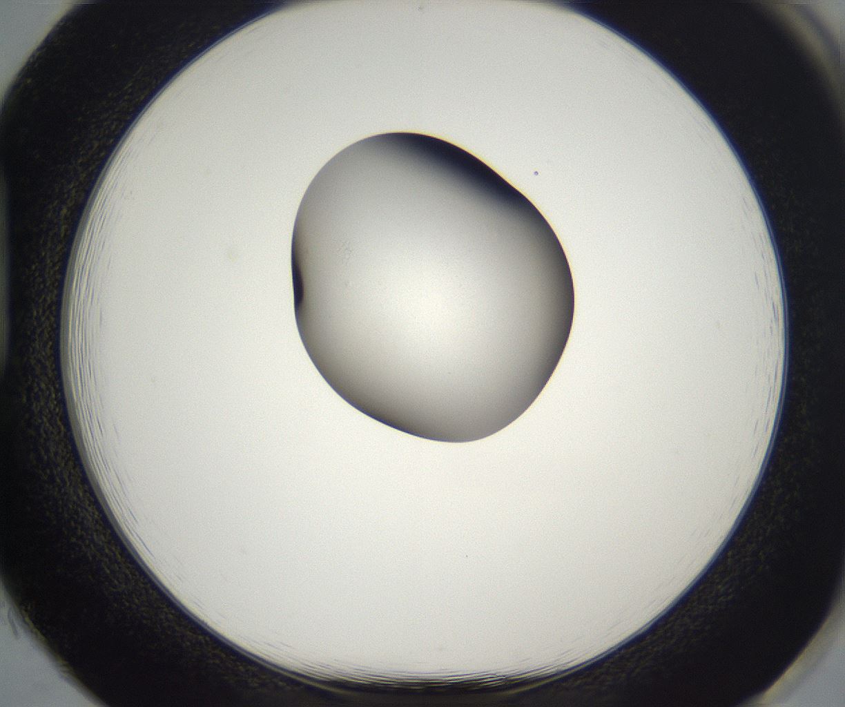folderID300_plateID2300_batchID10854_wellNum85_profileID1_d1_r161698_ef.jpg